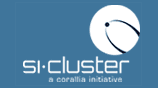 si-cluster