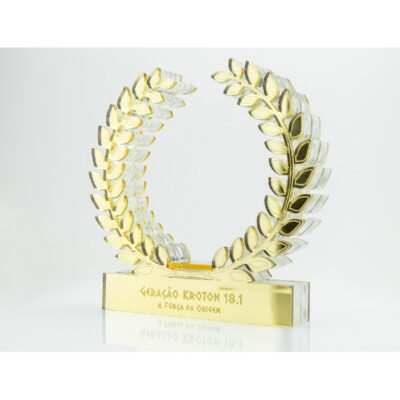 plexiglass-award-009