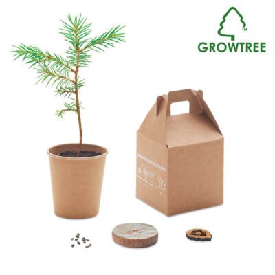 pot-with-pine-seeds-6228