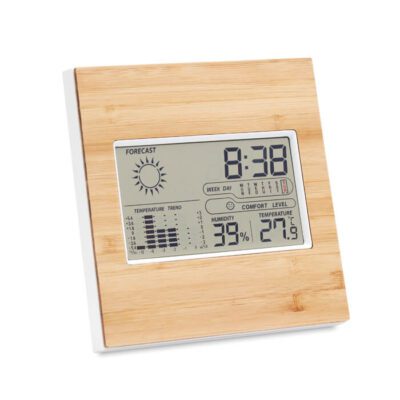 bamboo-weather-station-9959