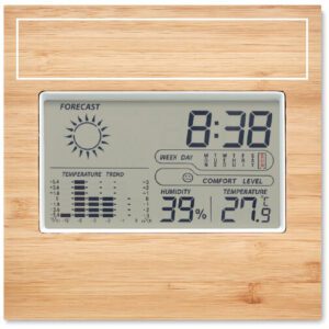 bamboo-weather-station-9959-print-1