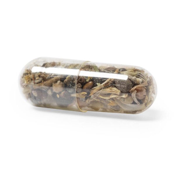 capsule-with-wildflowers-seeds-2642-2