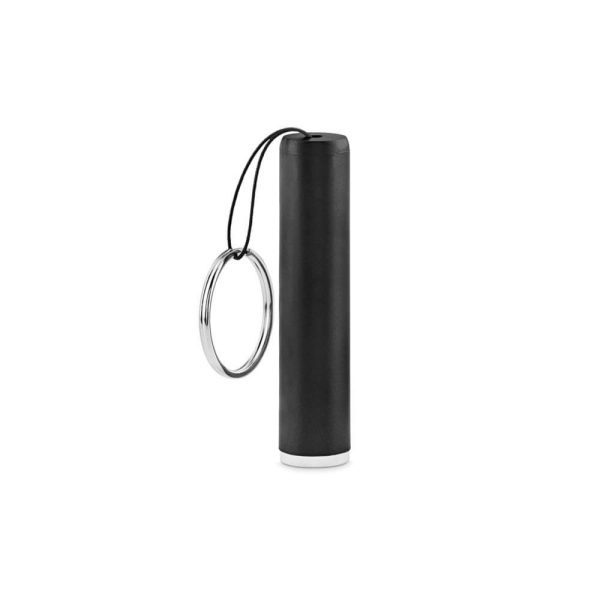 torch-keyring-with-light-up-logo-9469_2