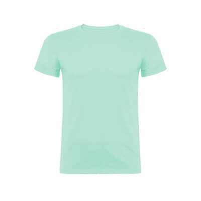 men-t-shirt-6554_green-mint